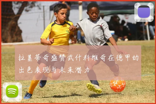 拉基蒂奇盛赞武什科维奇在德甲的出色表现与未来潜力