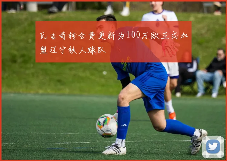 瓦吉奇转会费更新为100万欧正式加盟辽宁铁人球队