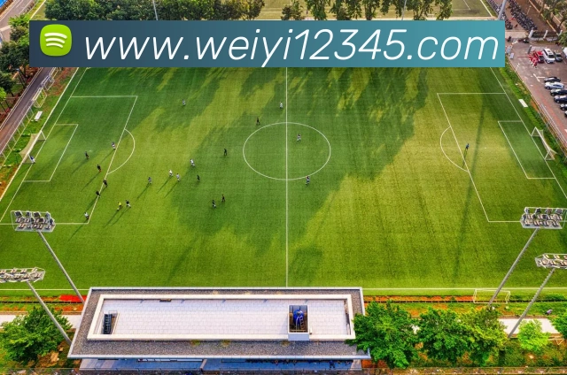 星空网手机官网入口平台生态图