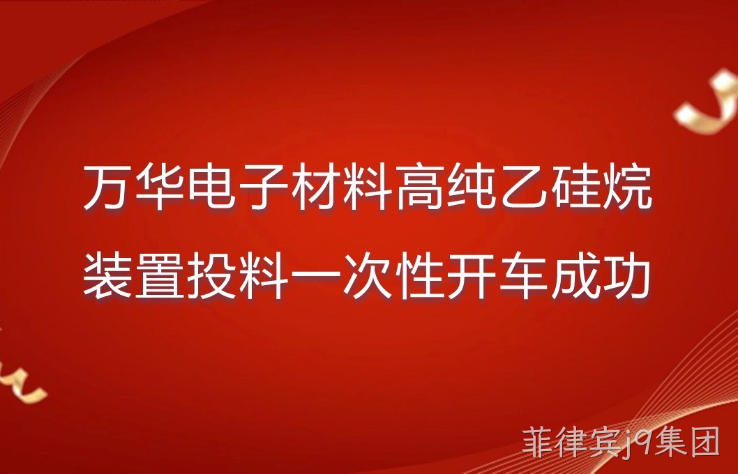 万华电子材料高纯乙硅烷装置投料一次性开车成功